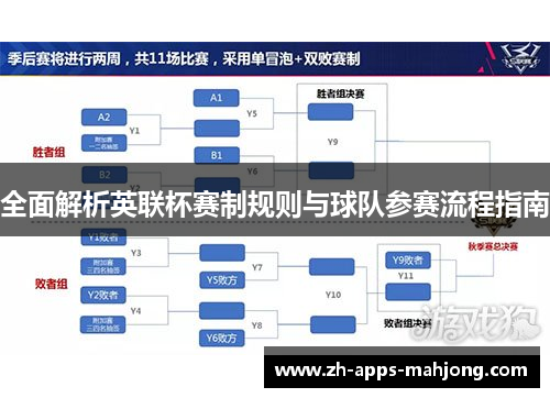 全面解析英联杯赛制规则与球队参赛流程指南